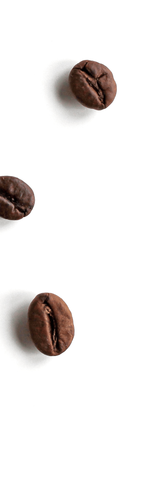 coffee bean parallax image